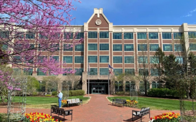 Loudoun County Must Commit to Survivor Safety By Ending ICE Collaboration